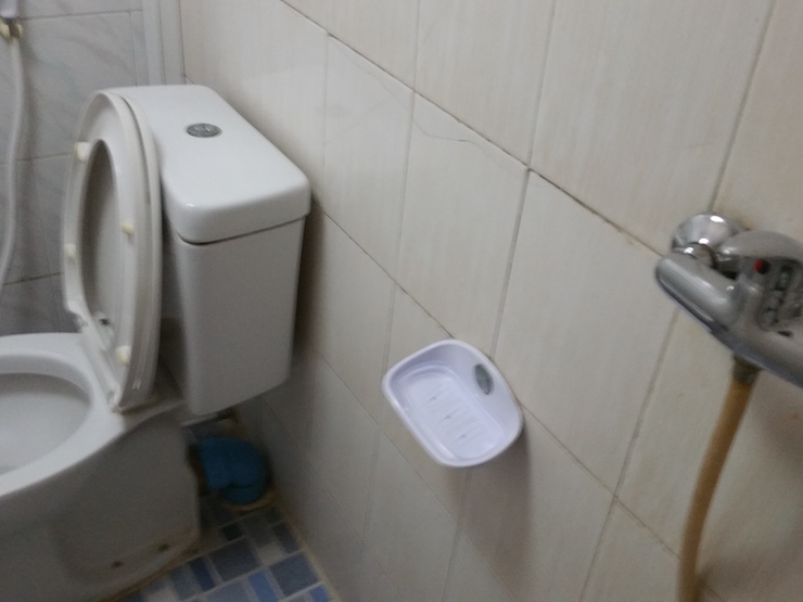 Toilet and shower