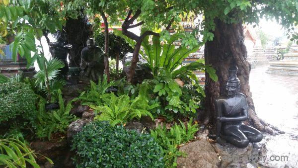ワットポーの木陰に並ぶ黒い像とシダの庭（雨上がりの境内）