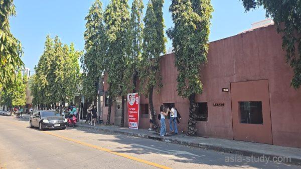 並木道と茶色い外壁の建物前、歩道で写真を撮る人たち