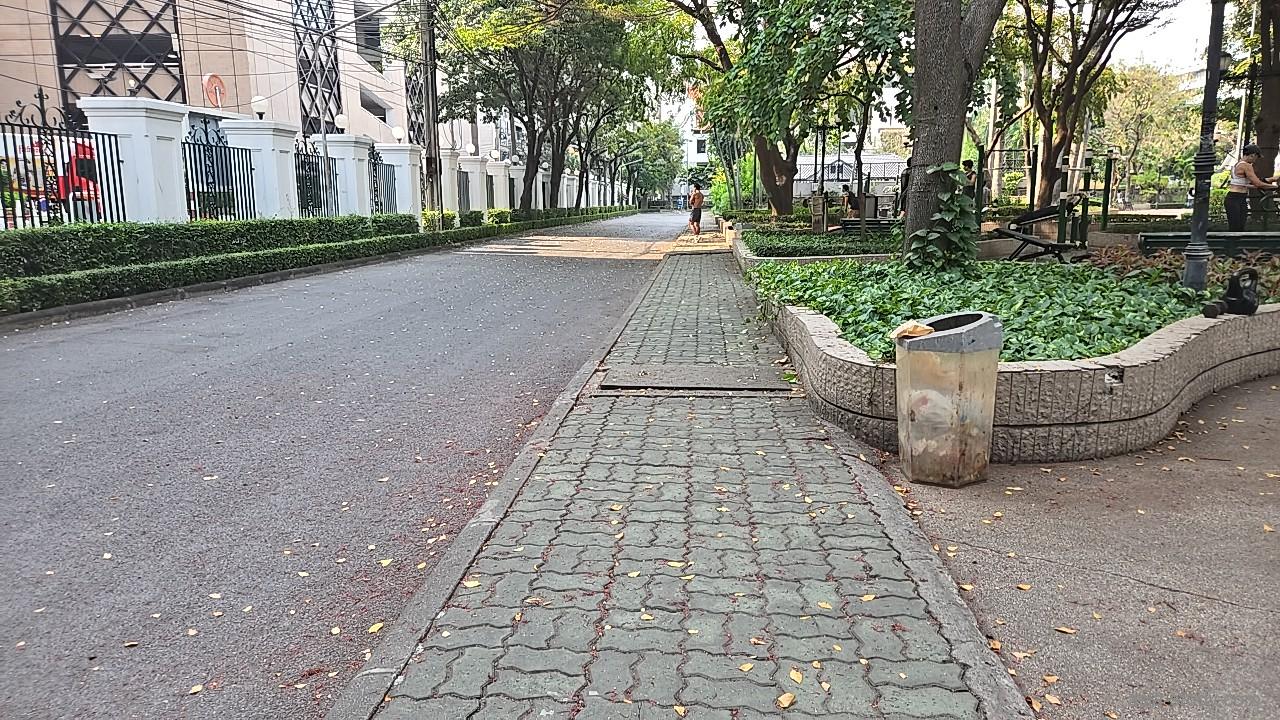 木陰の遊歩道と歩道、落ち葉が点々と残る静かな朝の通り（バンコク）