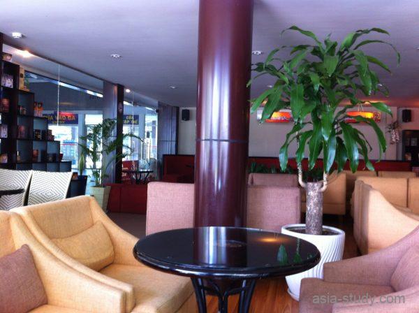 駅併設カフェの店内、ソファ席と観葉植物がある落ち着いたラウンジ