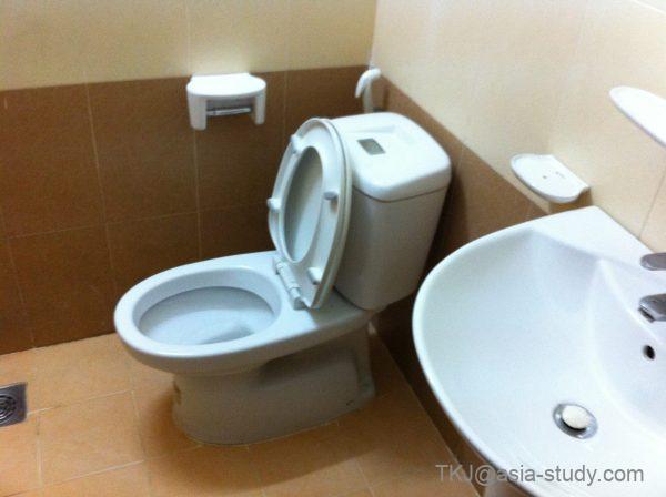 コンパクトなトイレと洗面台（タイル張りのバスルーム）