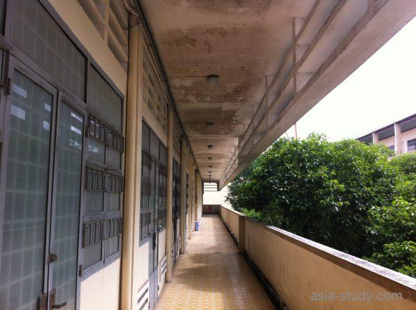 校舎2階の長い廊下（教室のドアが並び、右側に茂った木が見える）