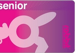 BTSのラビットカード（senior）デザイン、パープル背景にうさぎロゴ