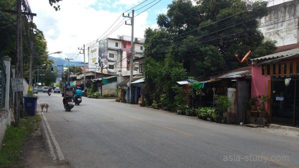 チェンマイ旧市街北側の住宅街を走るバイクとローカルな通り